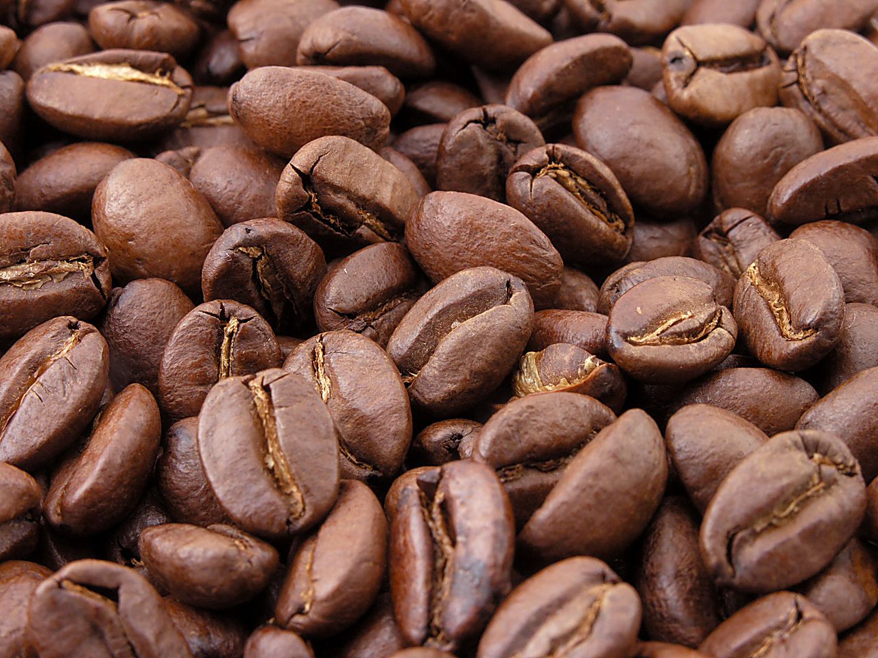 Giá cà phê Tây Nguyên ngày 09/06/2021 giảm mạnh trở lại 600 ngàn đồng/tấn