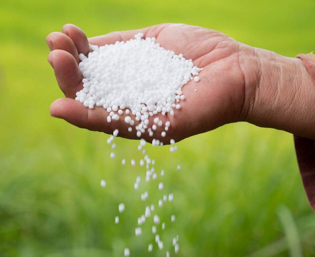 Prices of many fertilizers have increased in the world market