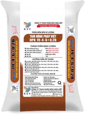 TNPV NPK 19-4-6+0,2B