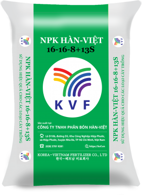 NPK HÀN-VIỆT 16-16-8+13S