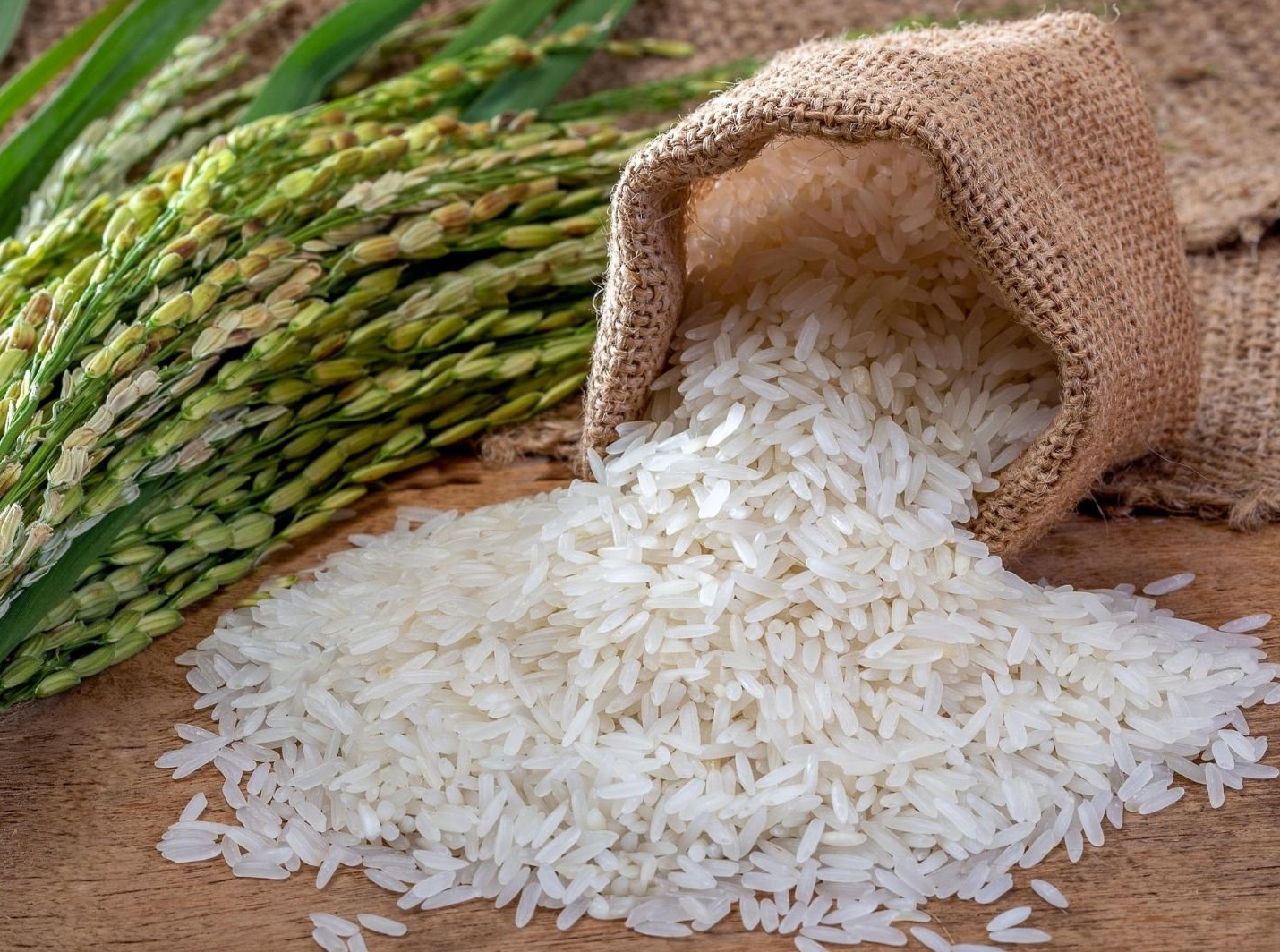 Thị trường lúa gạo ngày 16/10: Giá gạo thành phẩm xuất khẩu tăng