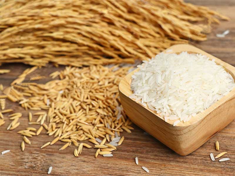 Giá lúa trong nước giảm, giá gạo xuất khẩu của Việt Nam vẫn dẫn đầu