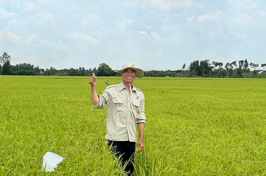Bộ sản phẩm NPK Hàn-Việt dành cho cây lúa từ giai đoạn sinh trưởng đến nuôi hạt