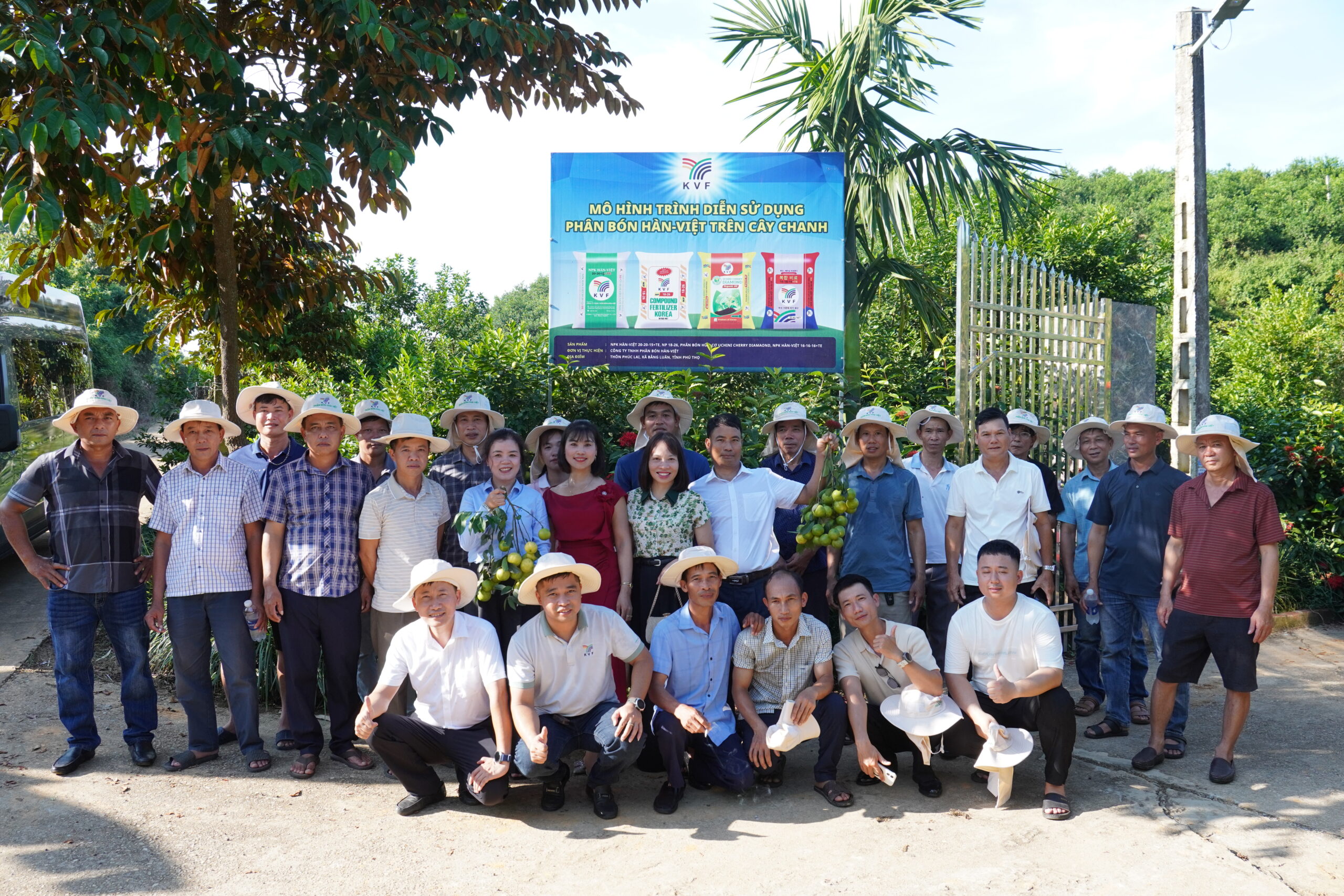 PHÂN BÓN HÀN-VIỆT ĐỒNG HÀNH CÙNG BÀ CON NÂNG CAO HIỆU QUẢ CANH TÁC CÂY CÓ MÚI